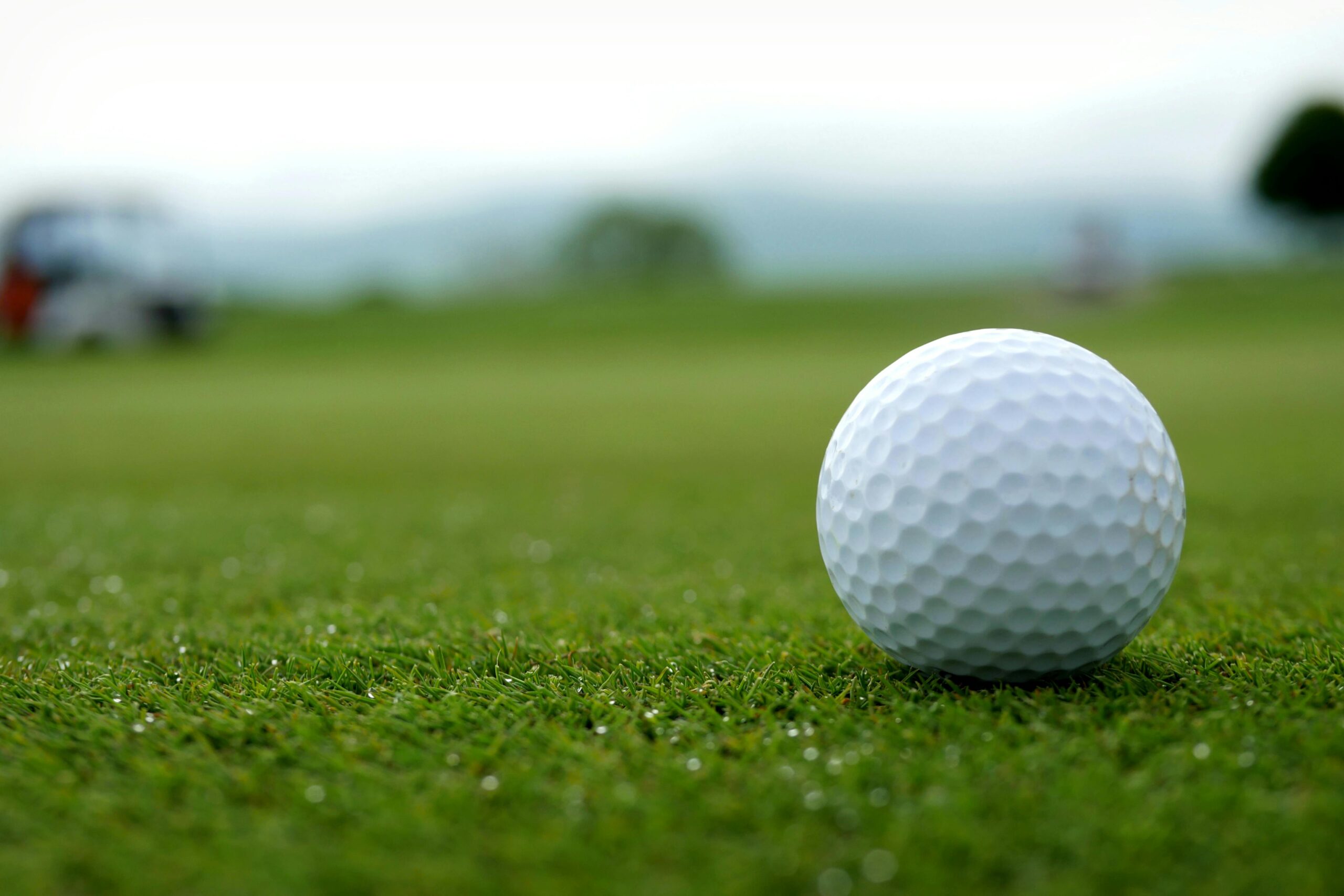 Golf Courses and Sports Clubs in San Jose, CA: Swing Into Action