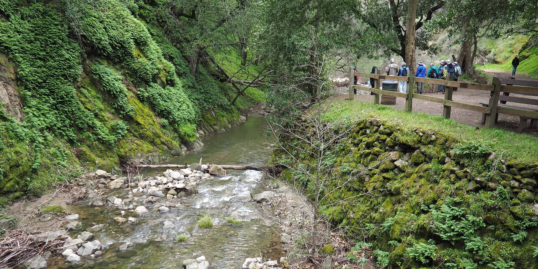 Discover Nature’s Playground: Alum Rock Park, San Jose’s Hidden Treasure