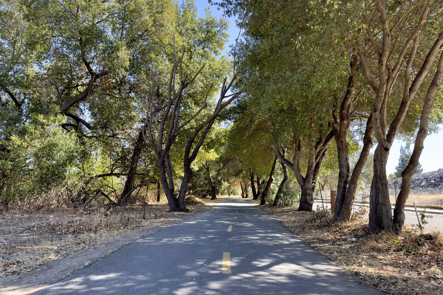 Exploring the Natural Beauty of Coyote Creek Trail in San Jose