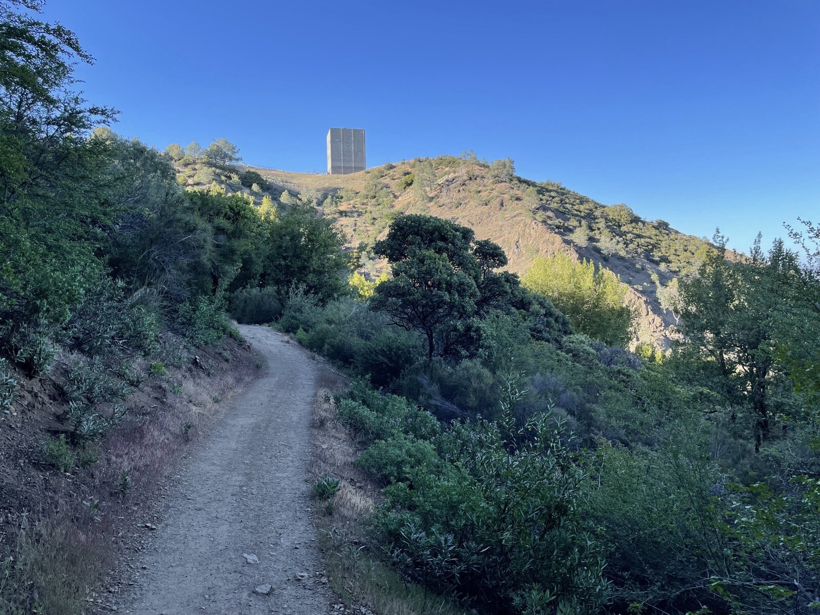 Discover the Wonders of Mount Umunhum: San Jose’s Hidden Gem