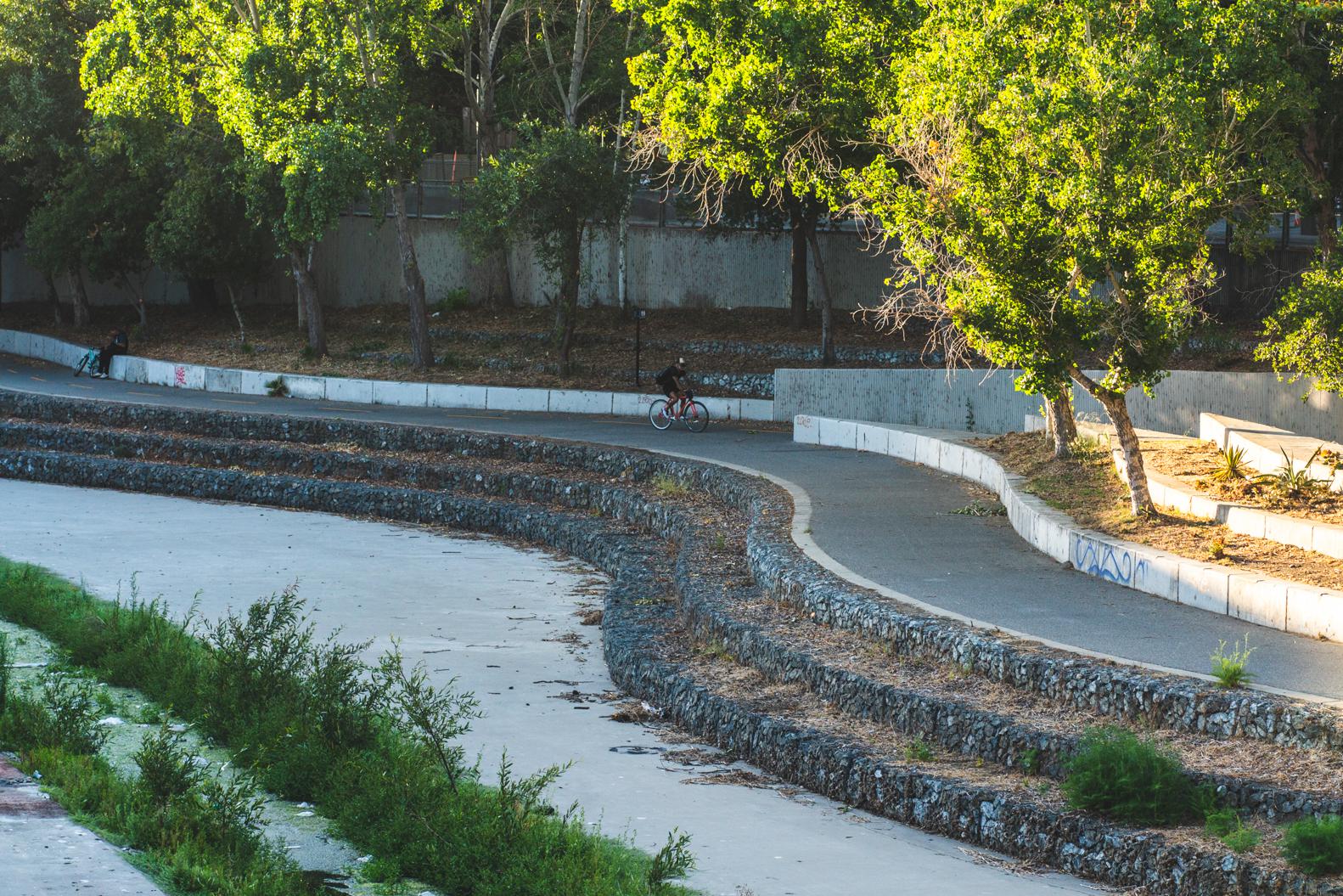 Discover Nature at Guadalupe River Park: A San Jose Treasure