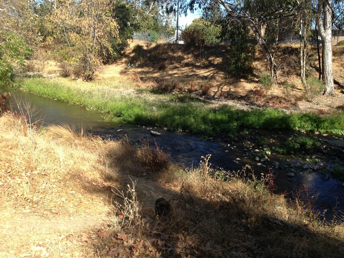Discover Nature and Adventure Along the Los Gatos Creek Trail in San Jose