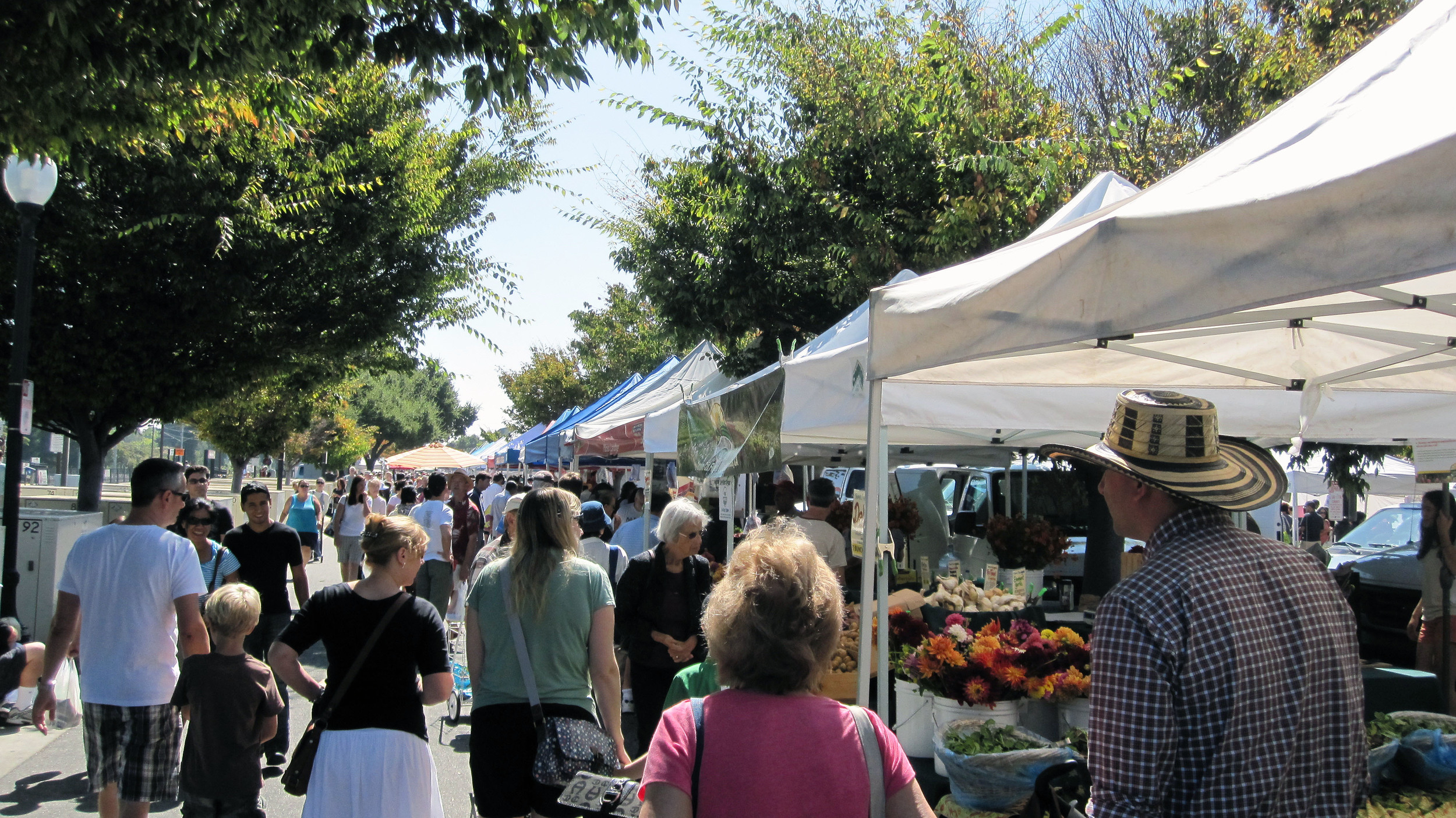 Fresh Finds and Vibrant Vibes: Discover Los Gatos Farmers’ Market